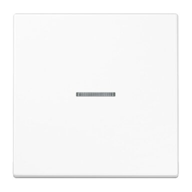 1 slot cover with indication LS990 JUNG LS990KO5WW (white)