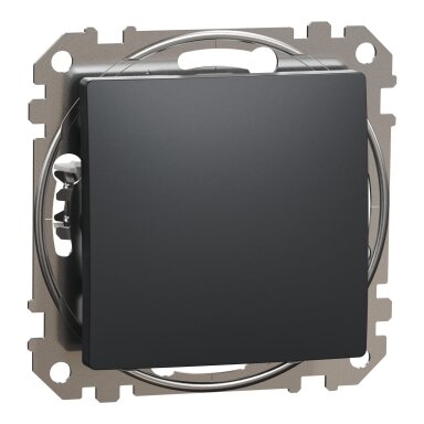 1 klavišo jungiklis Schneider Electric Sedna Design SDD114101 (antracitas)