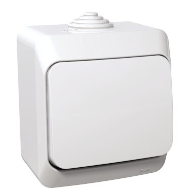 1 gang switch Schneider Cedar Plus WDE000560 (surface mount, white, 16A, 250V)