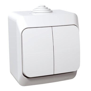 2 gang switch Schneider Cedar Plus WDE000550 (surface mount, white, 16A, 250V)