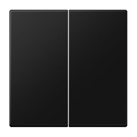 2 slot cover LS990 JUNG LS995SWM (black, matte)