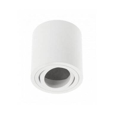 AVEIRO BIS oval ceiling lamp (white, 20W, IP20) GTV OS-AVB8090OK1-10