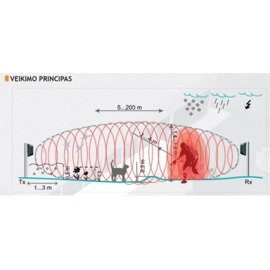 FORTEZA FMC10 (50m)