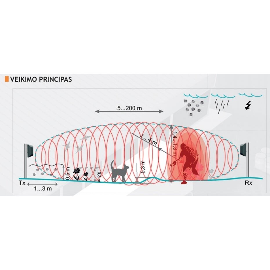 FORTEZA FMC10 (50m)
