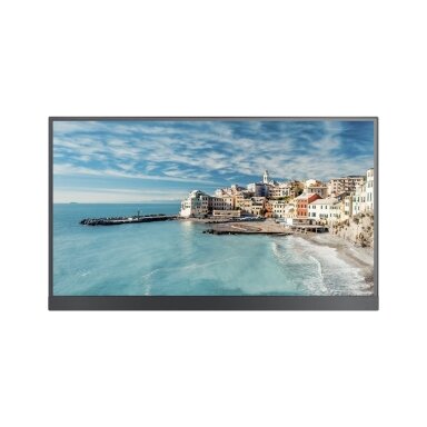 Hikvision SP 21.5" Monitor DS-D6022FN-B