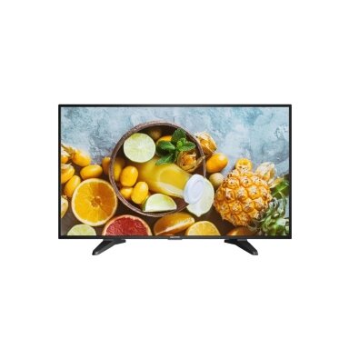 Hikvision SP 43" Monitor DS-D5065UC-C