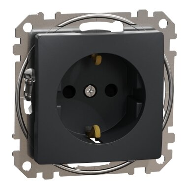 Kištukinis lizdas su įžeminimu ir dangteliu Schneider Electric Sedna Design SDD214024 (antracitas, IP44)