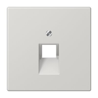 Computer socket cover JUNG LS969-1UALG (gray, 1xRJ45)