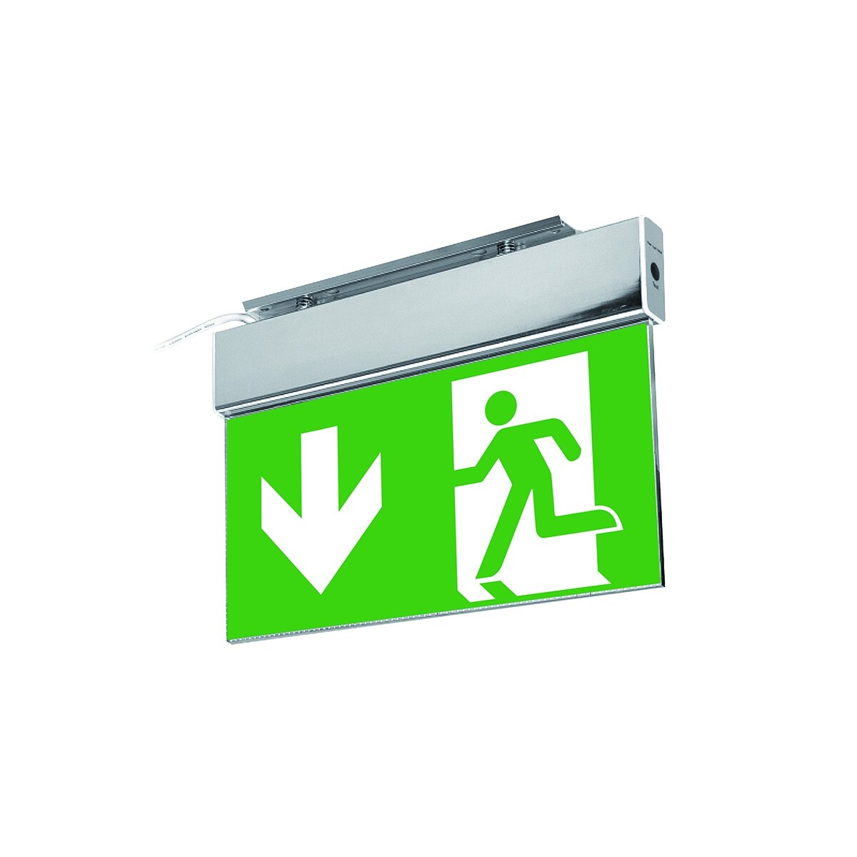 SALED-1 LED evacuation luminaire lamp (3W, 6400K, IP 44, 350mAh)