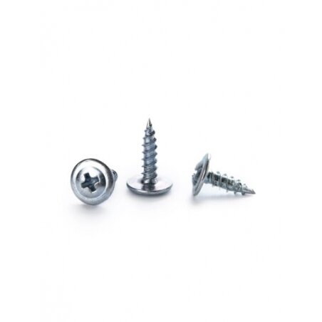 Savisriegis varžtas 4.2/25mm (50 vnt.) Savisriegis varžtas 4.2/25mm (50 vnt.)