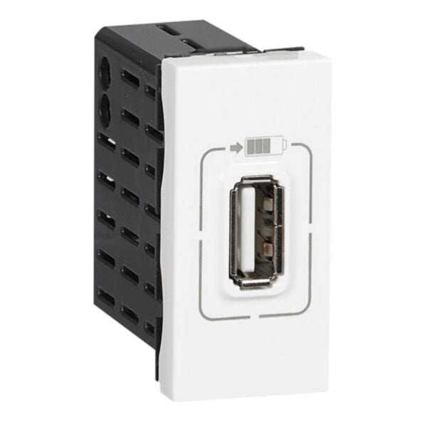 USB-C pakrovėjas Legrand Mosaic 077591 (5 V, 1.5 A, 7.5 W, 1 modulis) USB-C pakrovėjas Legrand Mosaic 077591 (5 V, 1.5 A, 7.5 W, 1 modulis)