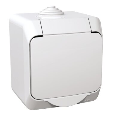 Surface mount socket with grounding Schneider Cedar Plus WDE000541 (with cover, white, 16A, 250V)