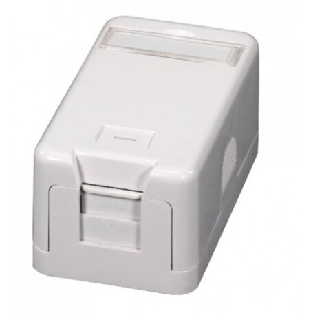 Virštinkinė vienvietė montavimo dėžutė EFB ET-25166 (1 x RJ45) Virštinkinė vienvietė montavimo dėžutė EFB ET-25166 (1 x RJ45)